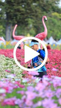 BIB:  <button type="button" onclick="openModal(27583240)" class="btn btn-primary btn-sm float-right" data-toggle="modal" data-target=".modal-high-quality">
                <i class="fa fa-download"></i> Download
                </button>